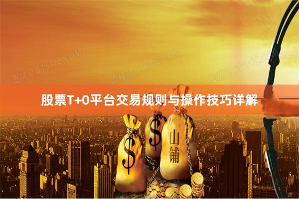 股票T+0平台交易规则与操作技巧详解